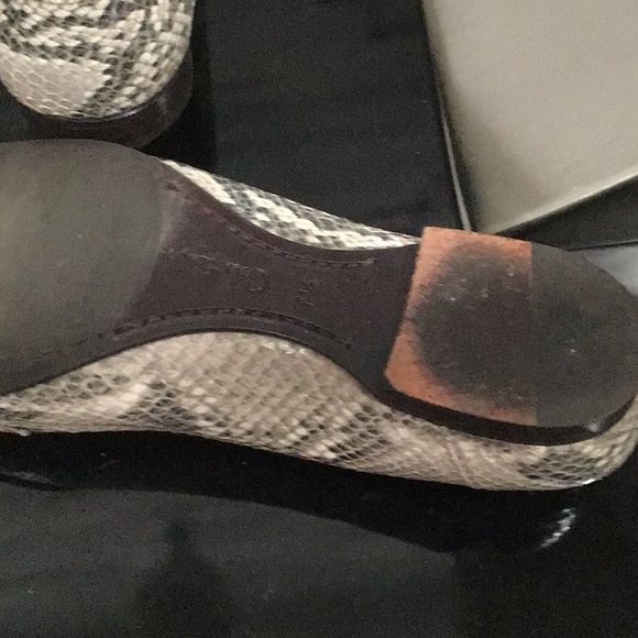 EUC. COLE HAAN Snakeskin Penny Loafer Shoes Slip On - Picture 9 of 9